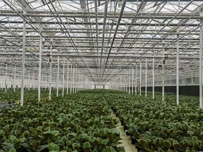 连栋温室大棚基础埋置深度