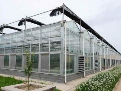 花卉玻璃温室抓细节提升温室加温效果