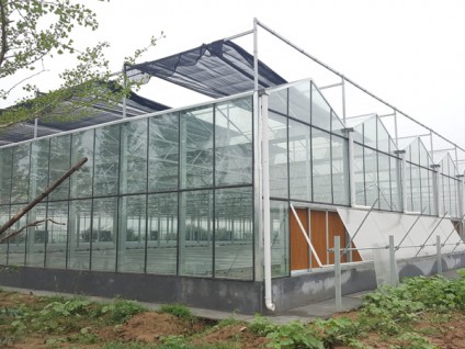 玻璃温室建设