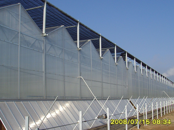 阳光板温室建设.jpg