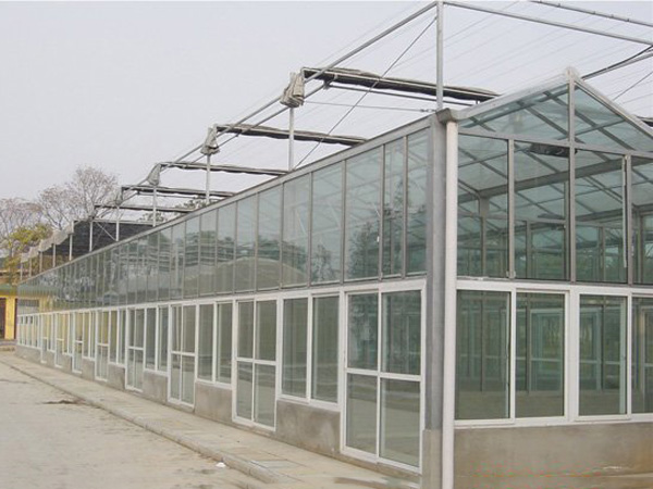 智能玻璃养殖温室.jpg